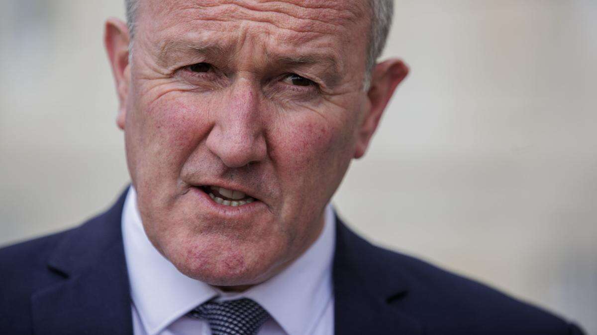 Sinn Fein was not aware of McMonagle references until last week, says Murphy