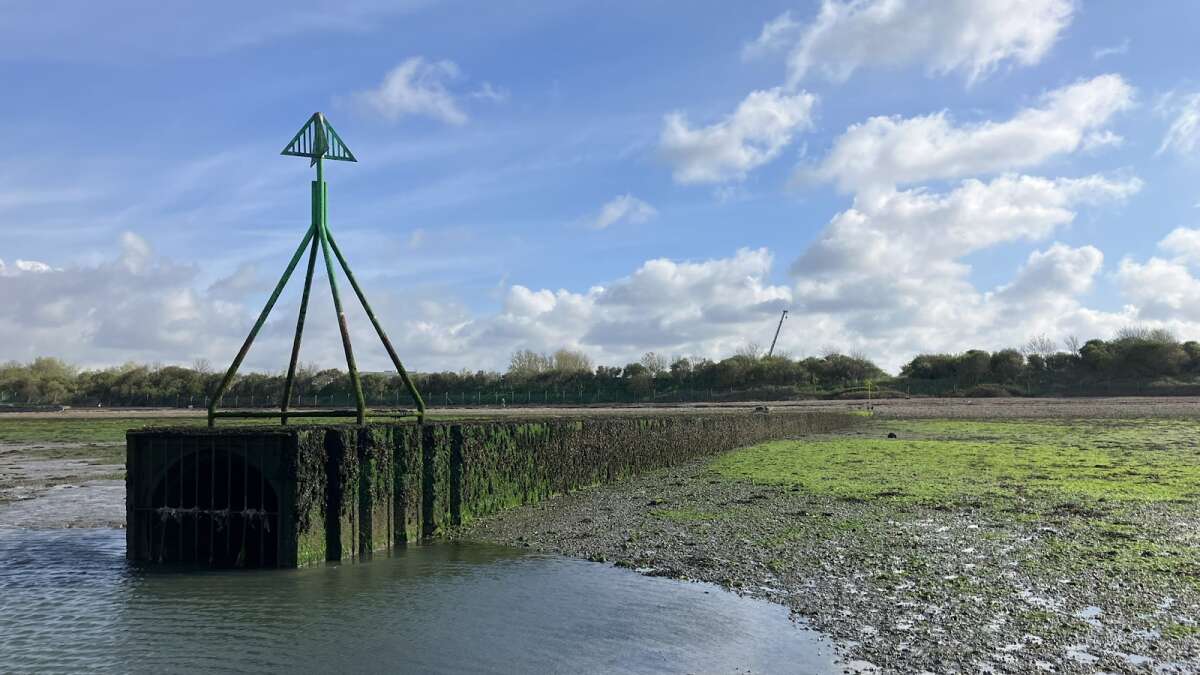 Level of ‘forever chemicals’ found to rise after sewage spills in protected area