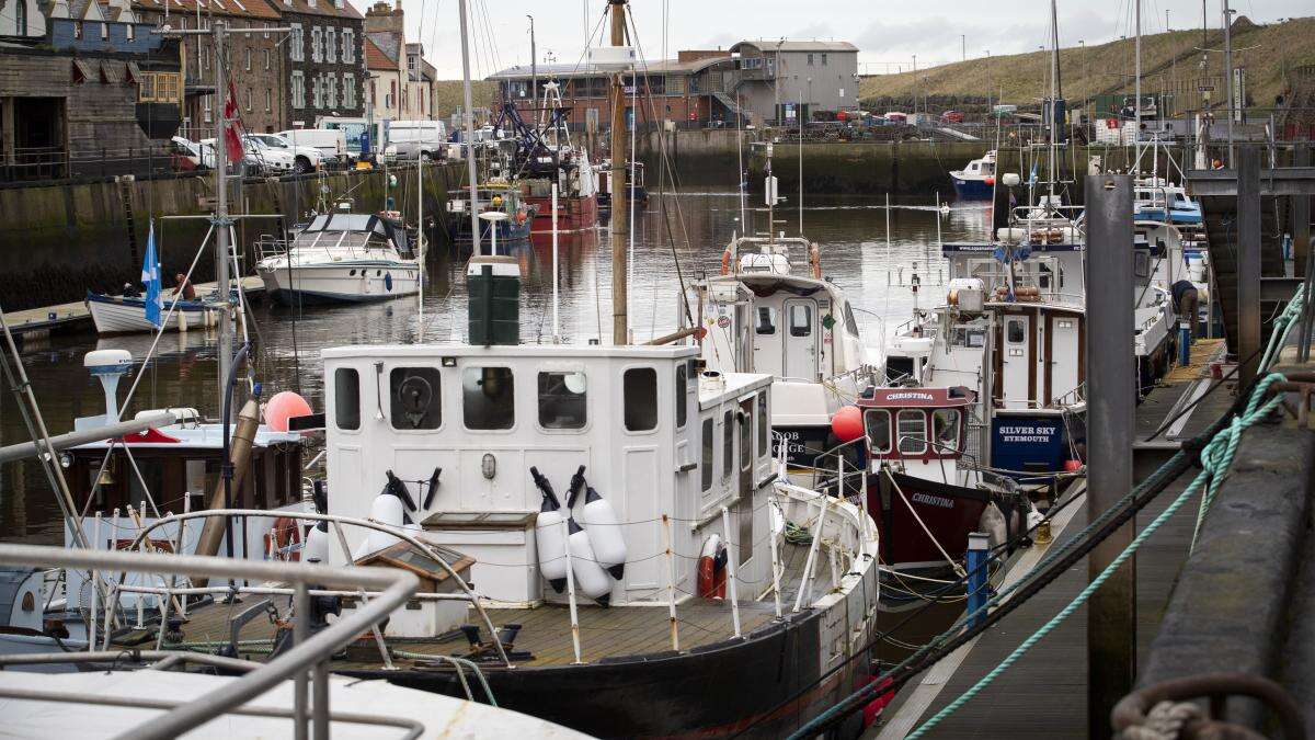 Scottish Government ‘floundering’ on fisheries plans, marine charity says