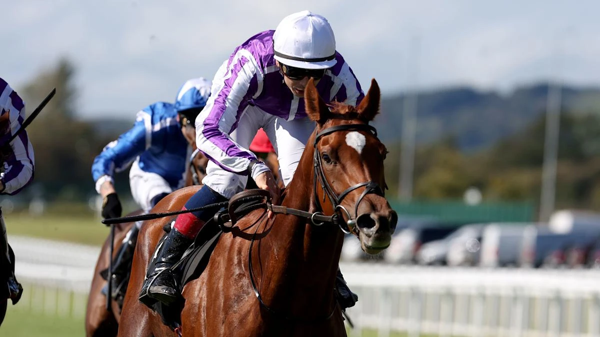 Precise moment arrives for O’Brien and Soumillon to shine again