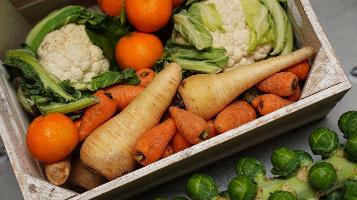 Charities to get cash from £15m fund to redistribute surplus farm food