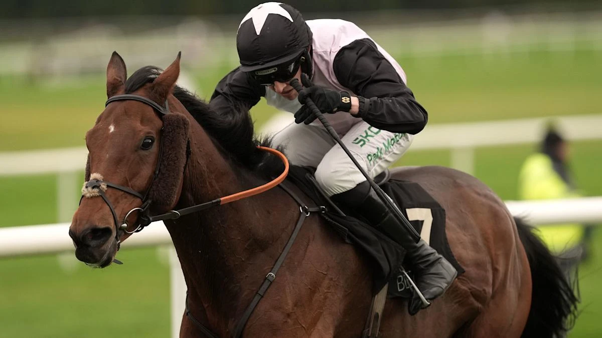French Dynamite too strong for Munster National rivals