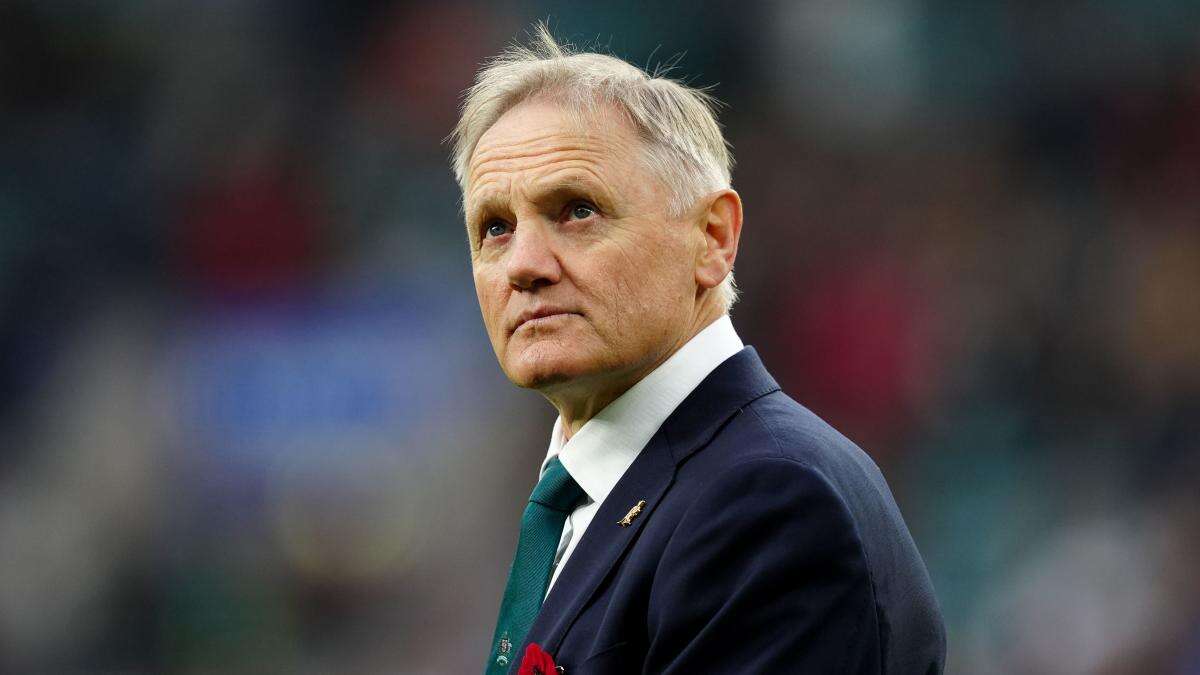 Joe Schmidt: Australia still have work to do ahead of next year’s Lions series