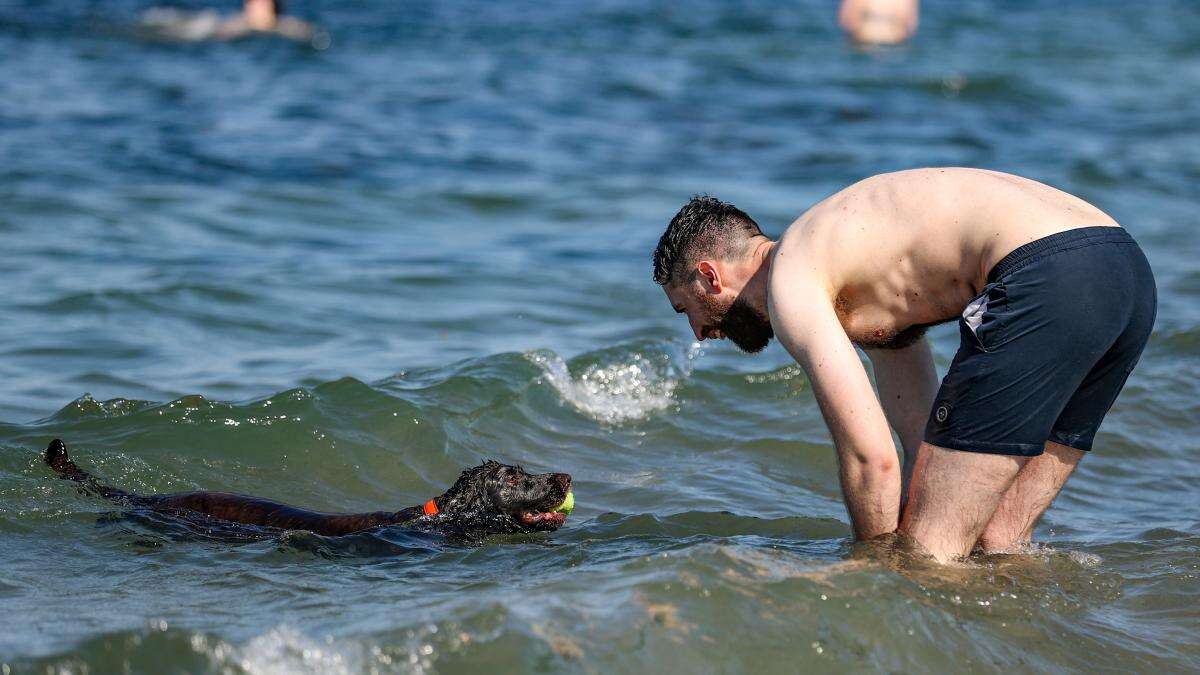 Northern Ireland’s bathing water regulations ‘out of step’, report finds