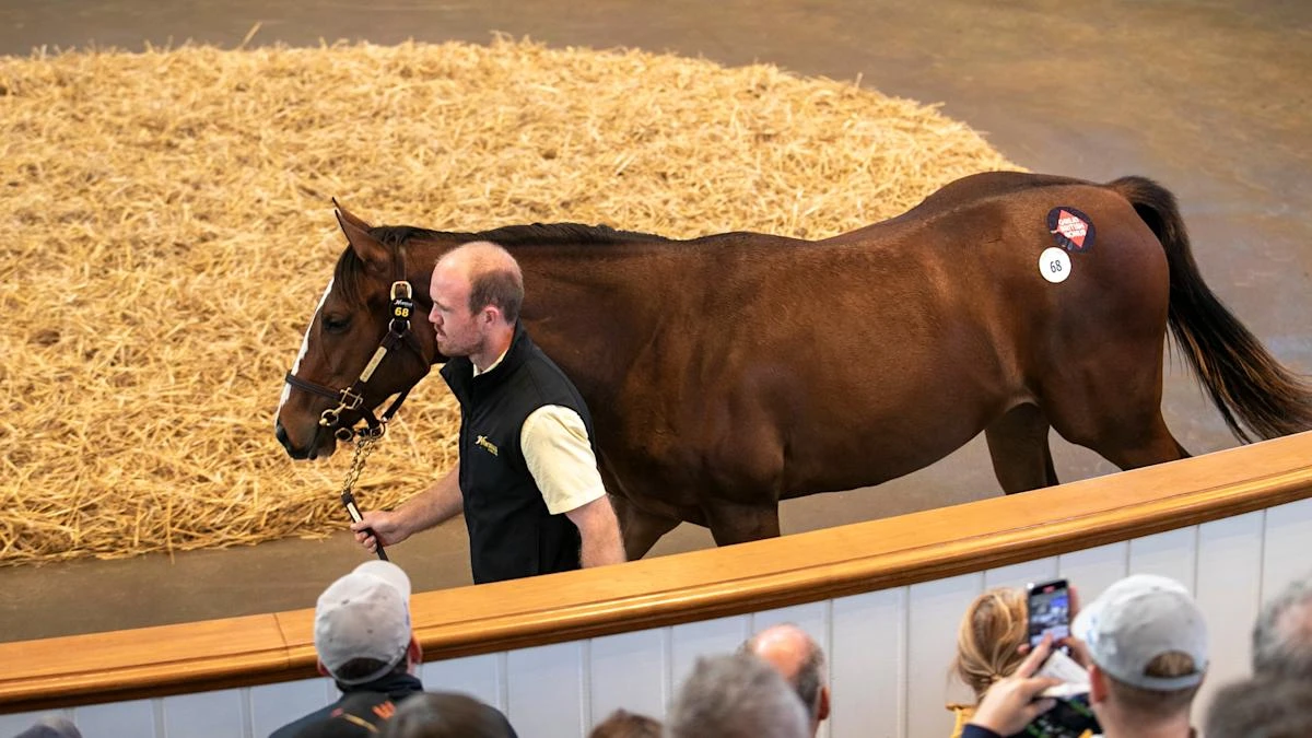 No date set yet for Partying debut – but big-money buy ‘doing everything right’