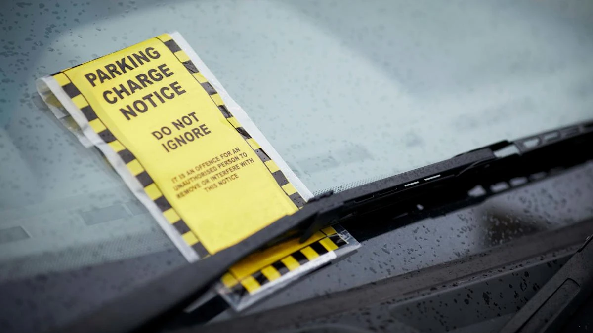 One in 20 would pay an unjustified parking ticket – survey