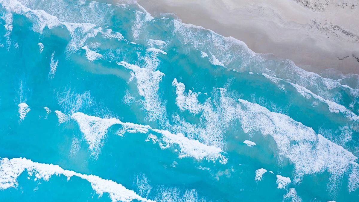 Ratify ocean treaty and ban destructive fishing in protected areas, PM urged