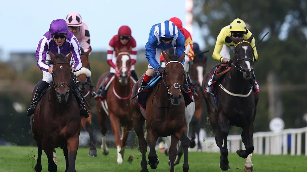 Delacroix ready for round three with Ombudsman