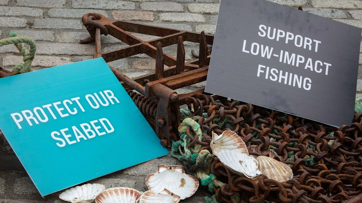 Conservation groups hit out at ‘unfulfilled promises’ over Scotland’s seabed