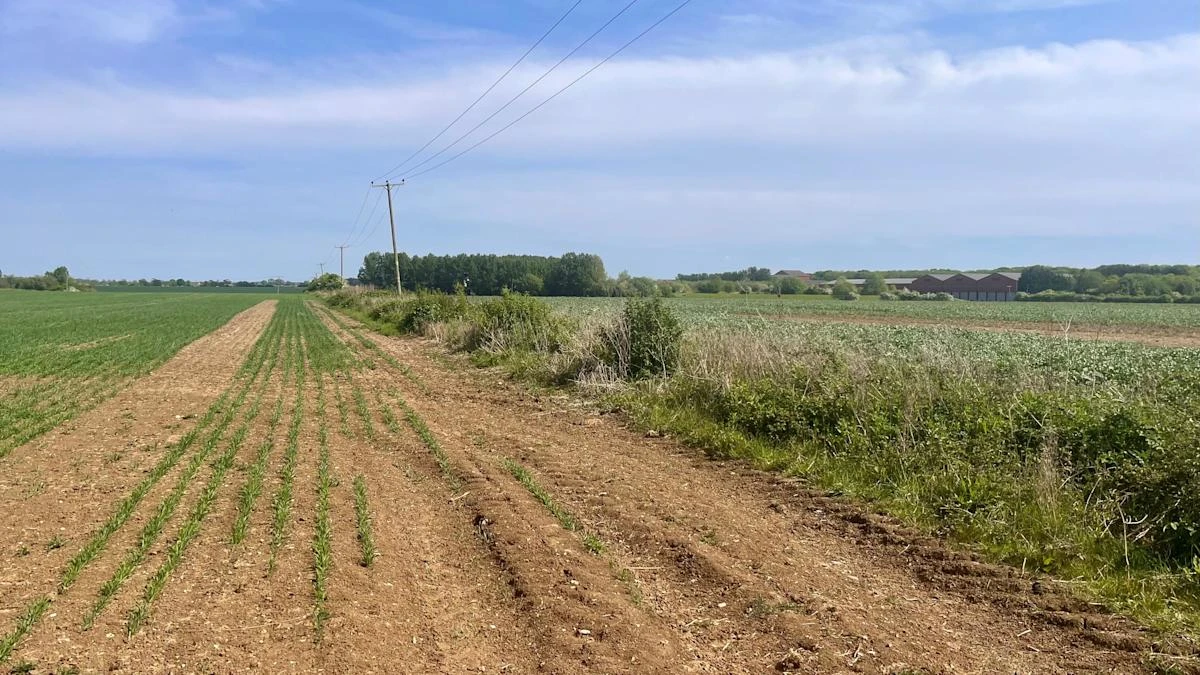 England’s driest start to spring for 69 years raises risk of summer drought