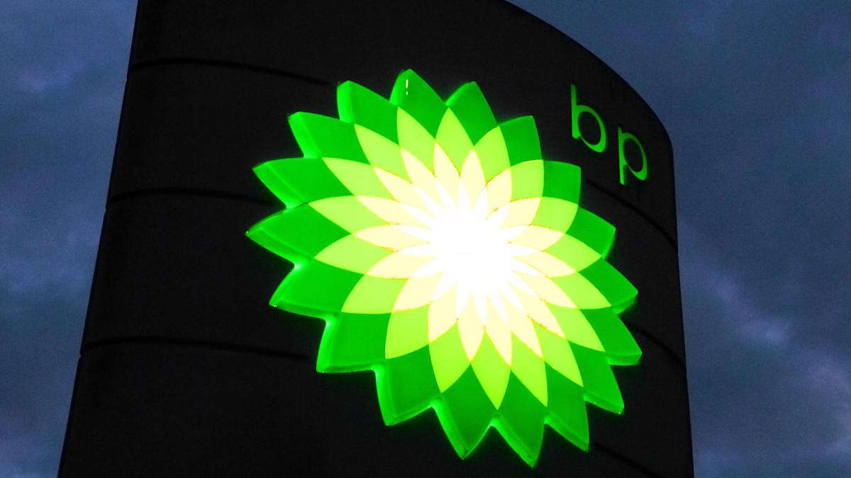 BP chief takes more than £2.3m pay cut after slump in profit