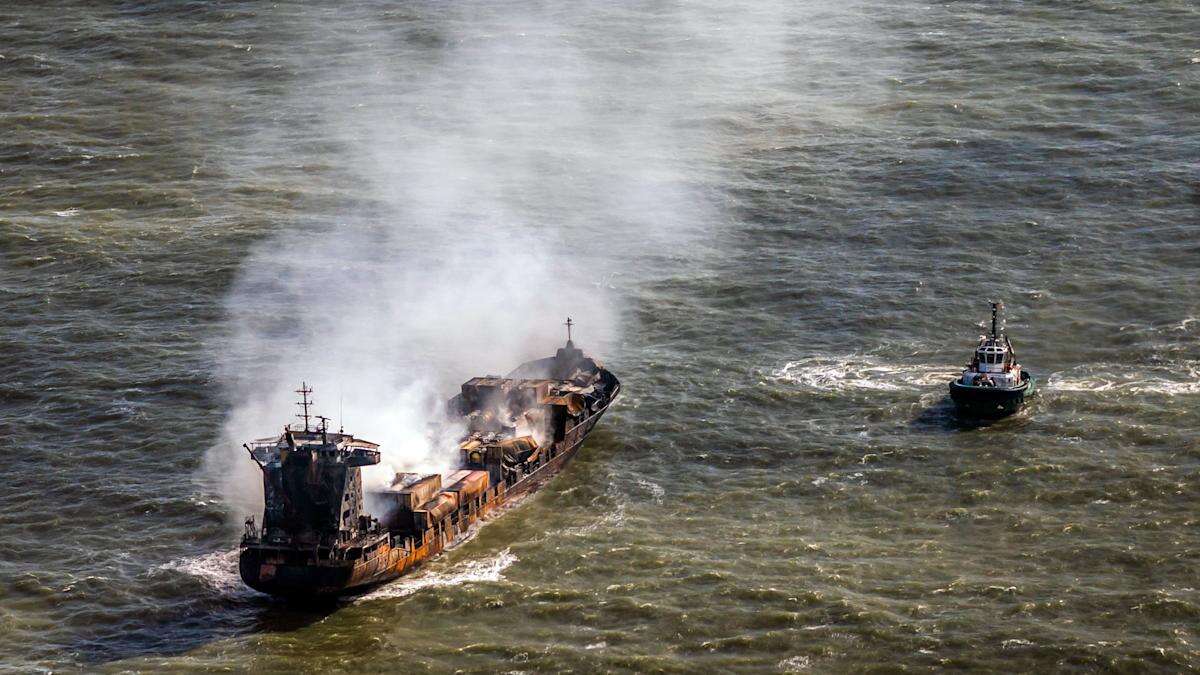 ‘Deep concern’ for wildlife after pellets wash up following two-ship collision