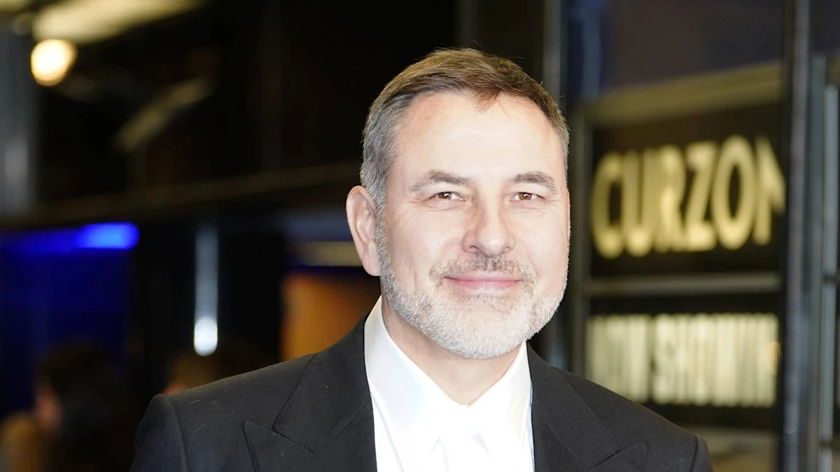 David Walliams ‘gave Nazi salutes while recording BBC’s Would I Lie To You?’