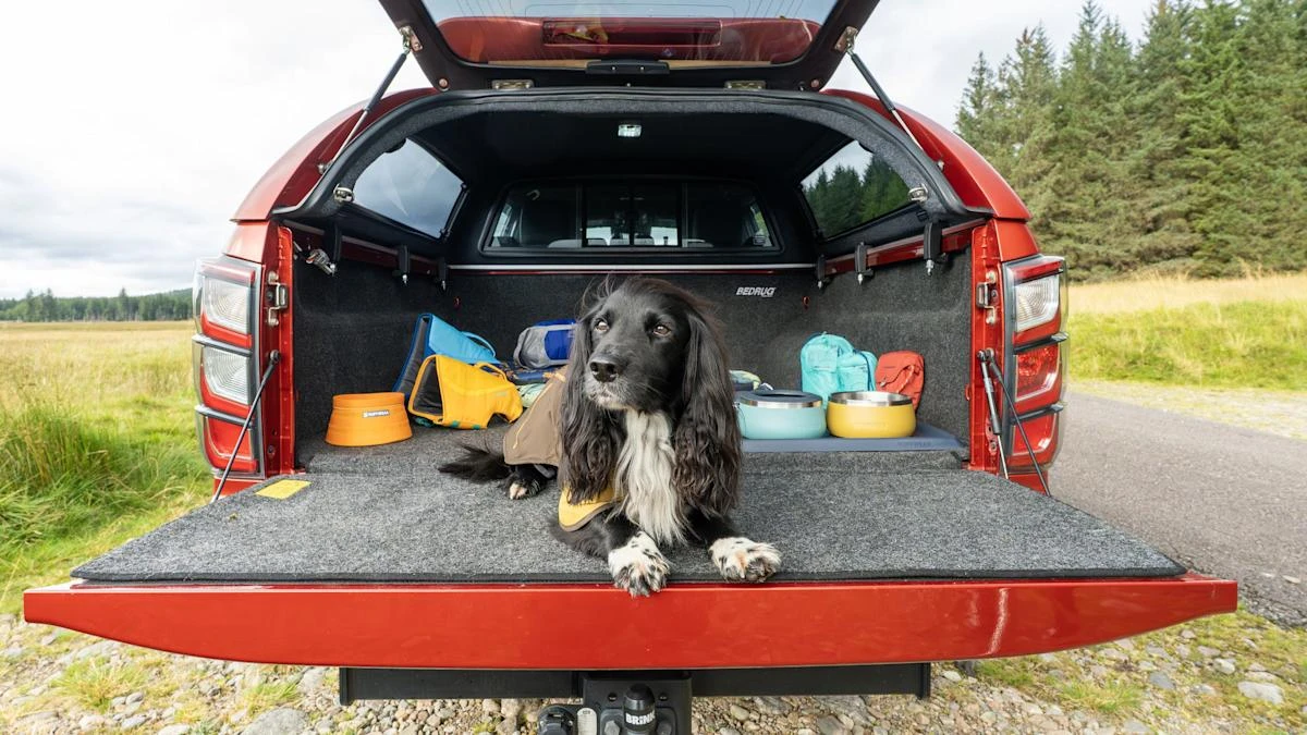 Isuzu goes for paw appeal with new dog-focused range