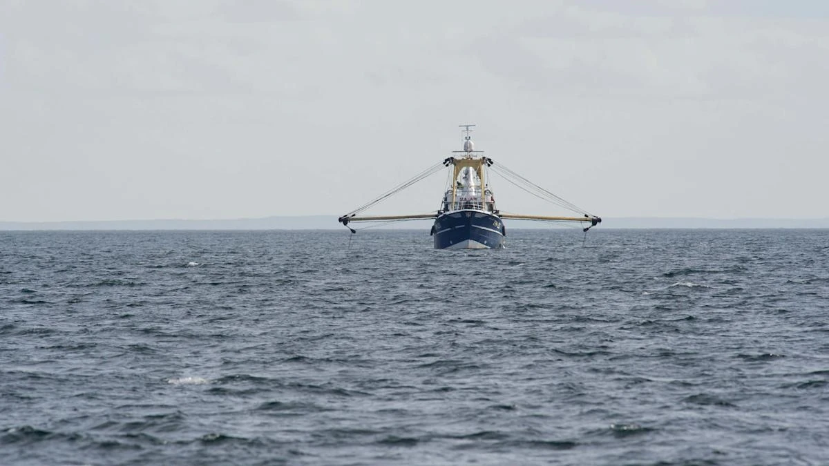 Ministers accused of ‘still breaking the law’ over fishing licences