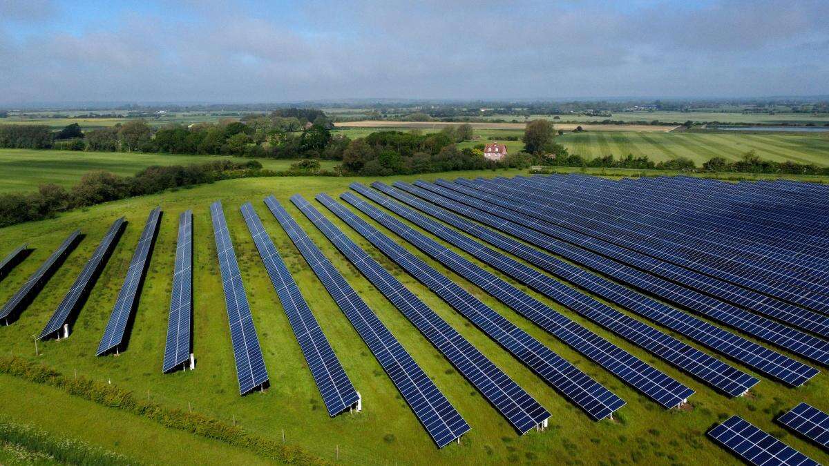 Individual solar farms do not threaten national food security – farming leader