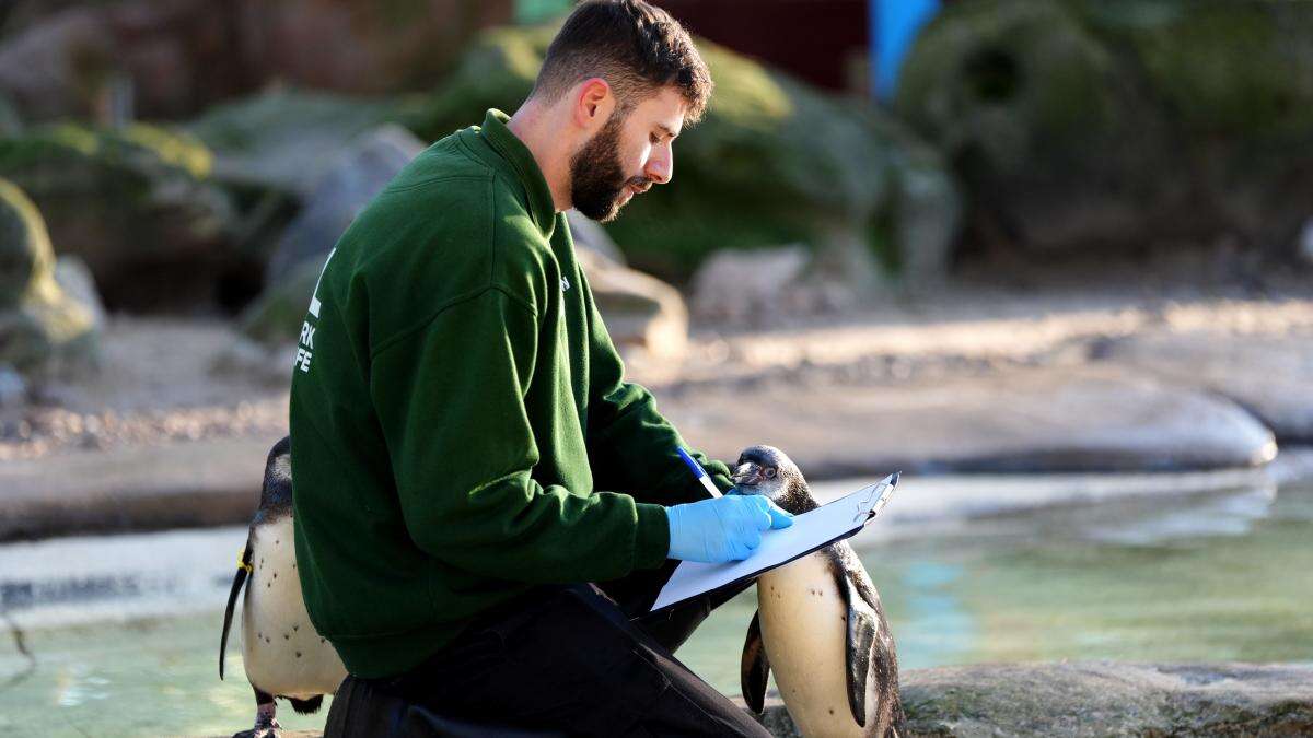 London Zoo begins week-long annual stocktake counting more than 10,000 animals