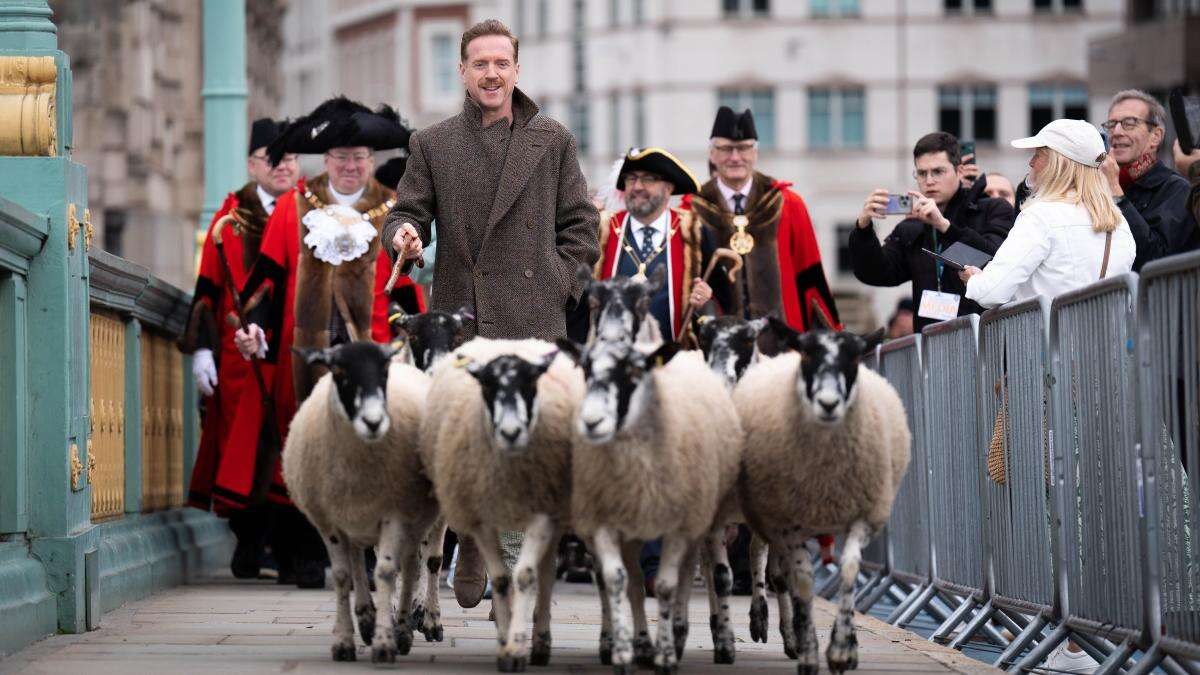 Hollywood’s Damian Lewis drives sheep over the Thames in ‘eccentric’ tradition