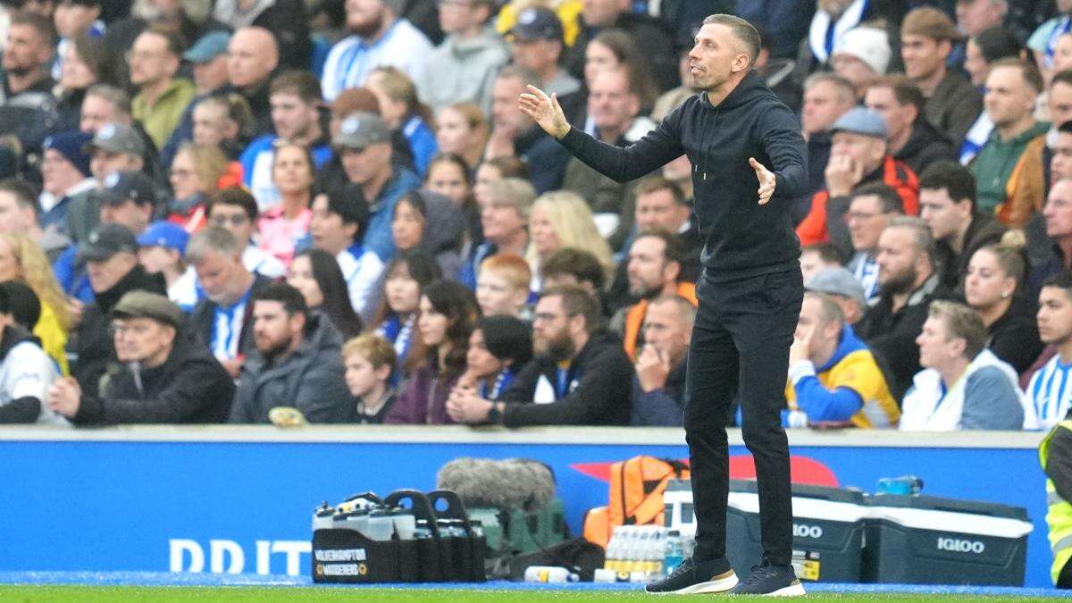 We’ll definitely be fine – Gary O’Neil buoyed by late Wolves rally at Brighton