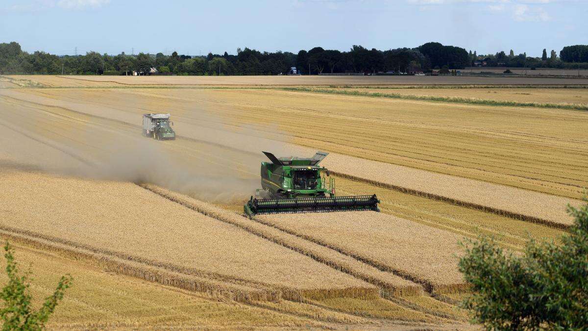 Producing food is ‘primary purpose’ of farming, Environment Secretary says