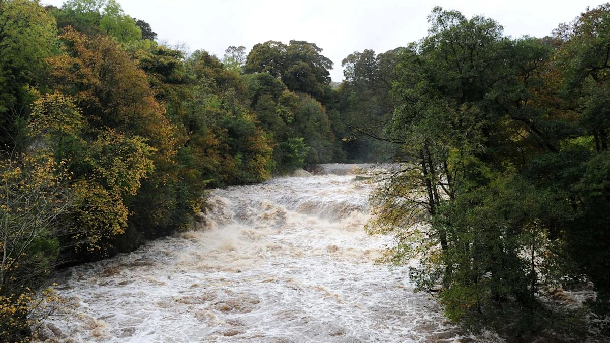 Government ‘could miss chance to tackle chemical pollutants from wastewater’