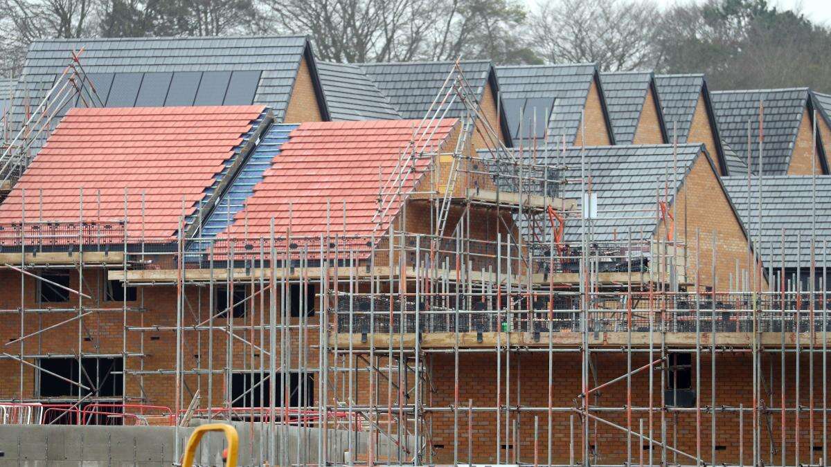 Call to put gardens at heart of housebuilding push for nature and climate