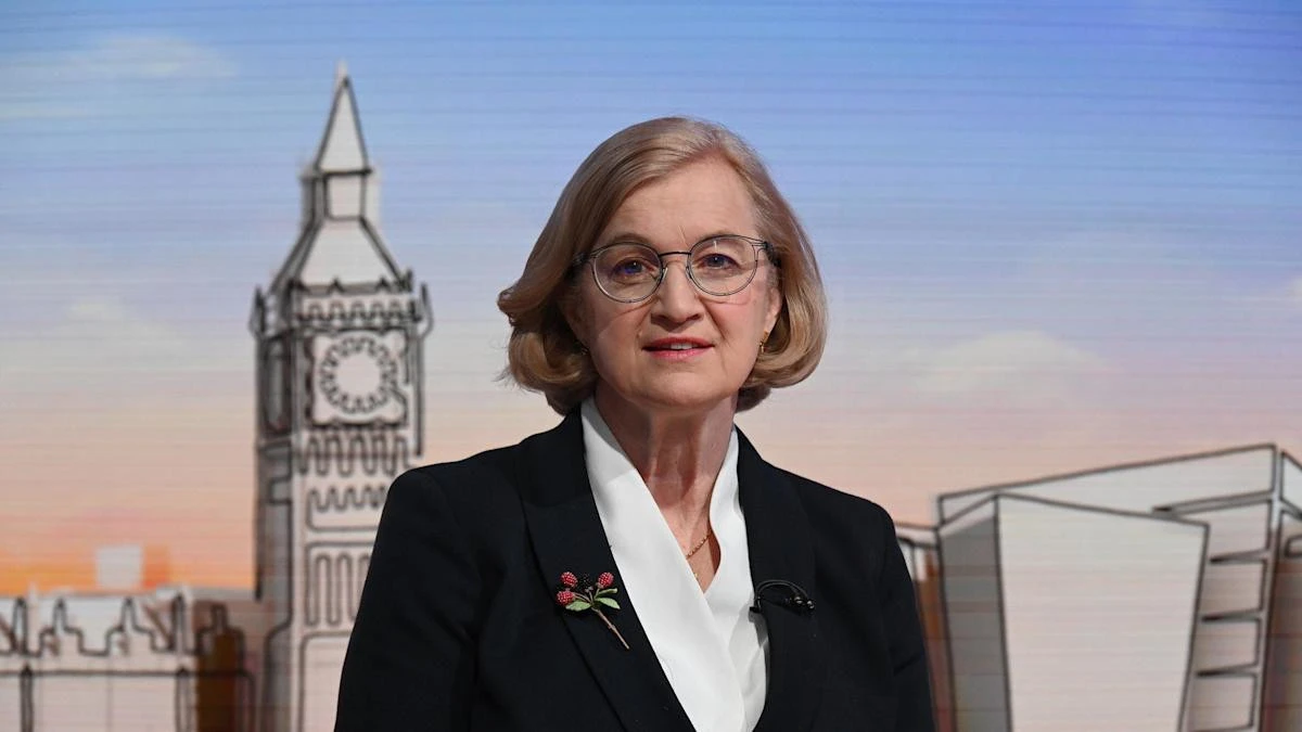 Controversial ex-Ofsted chief warns against ‘vilifying’ public bodies