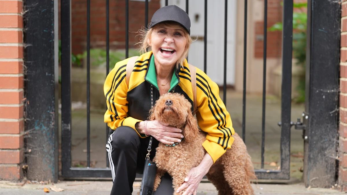Lulu says new memoir felt ‘intense’ as she opens up about going to therapy