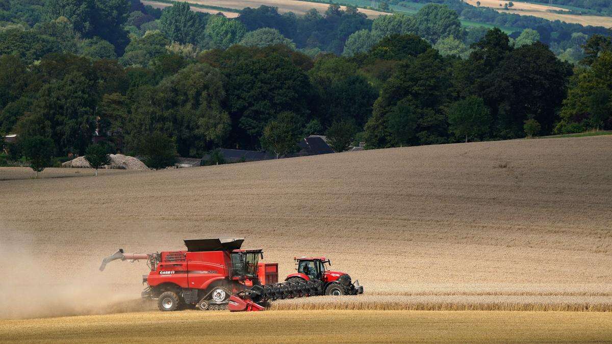 England ‘seen as world leading on nature-friendly farming at Cop16’