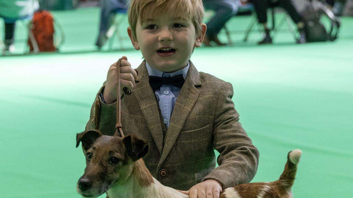 Six-year-old boy makes history as one of Crufts’ youngest ever winners