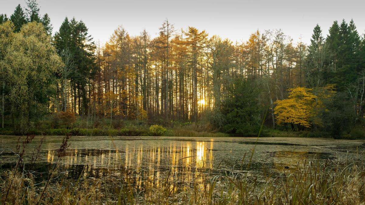 National Trust plans 250,000 hectares of nature-rich landscapes over 10 years