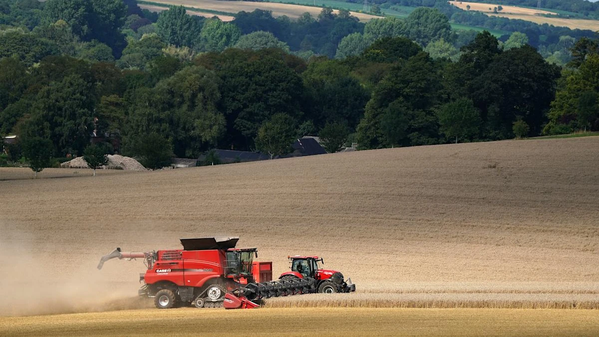 Thousands of farmers facing uncertainty over payments to protect nature