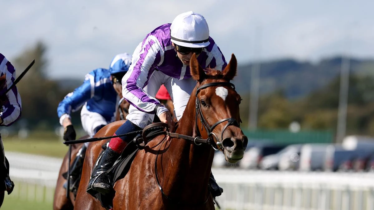Precise tops 11 hunting Fillies’ Mile prize