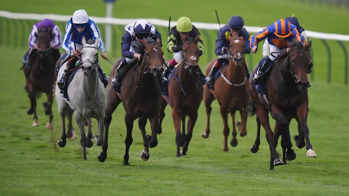 Havana Anna has score to settle with True Love at Del Mar