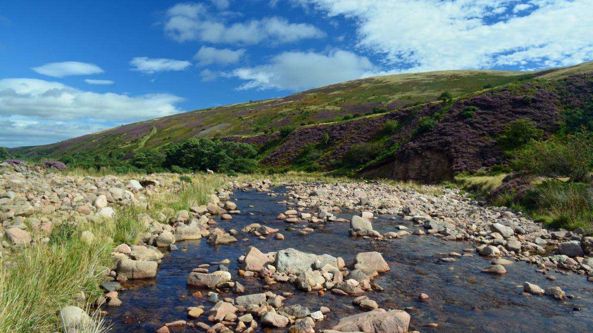 Government urged to set out rules for protecting 30% of land for nature