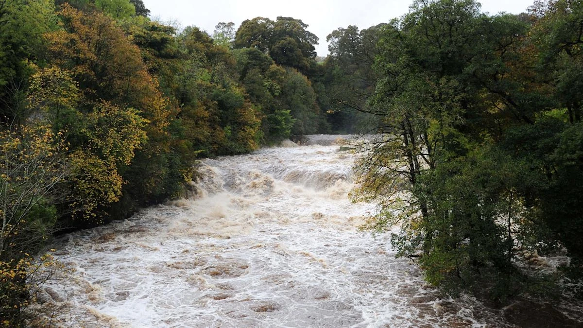 New fines proposed for water firms committing smaller environmental offences