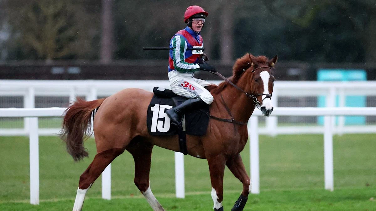 ‘Small setback’ delays reappearance of Windbeneathmywings