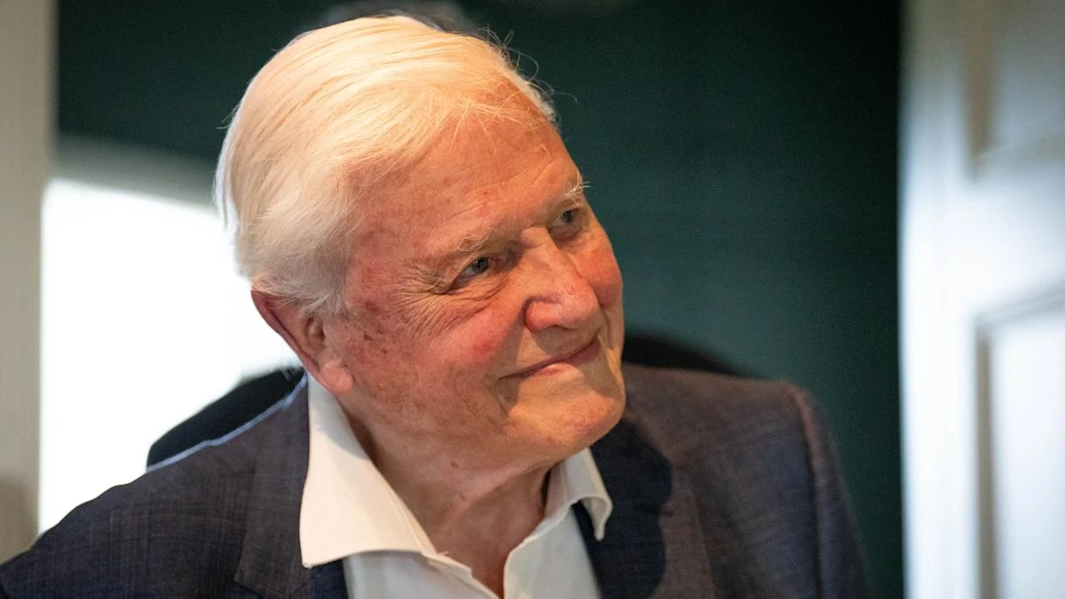 Magic moments: Some of Sir David Attenborough’s memorable career highlights