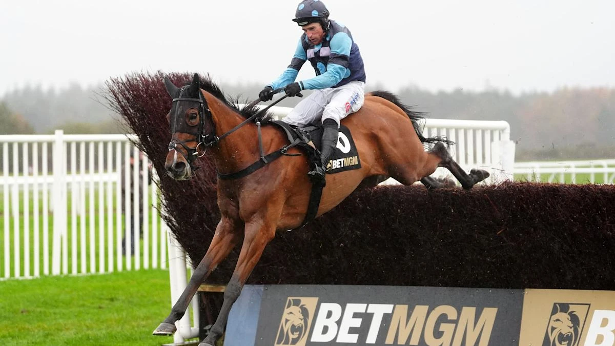 Thistle Ask has all the answers in Haldon Gold Cup