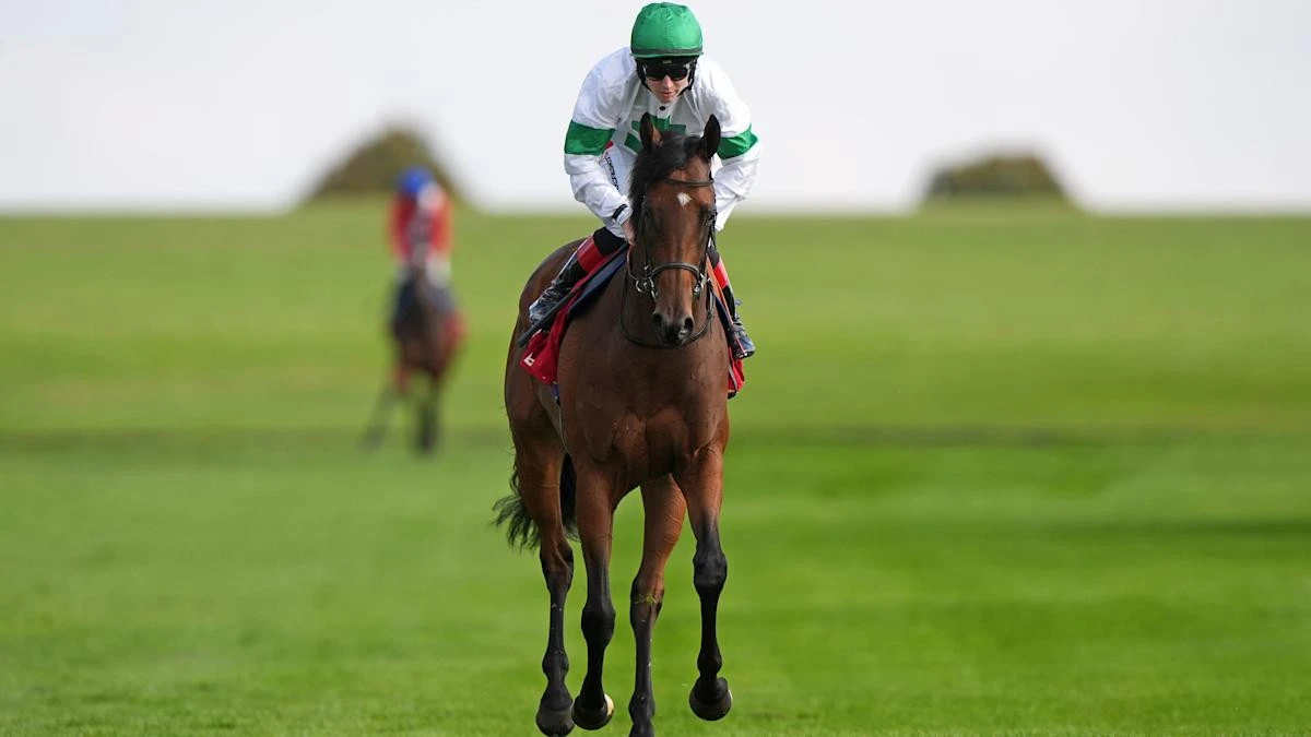 Champions Day the only option for Tamfana before sale