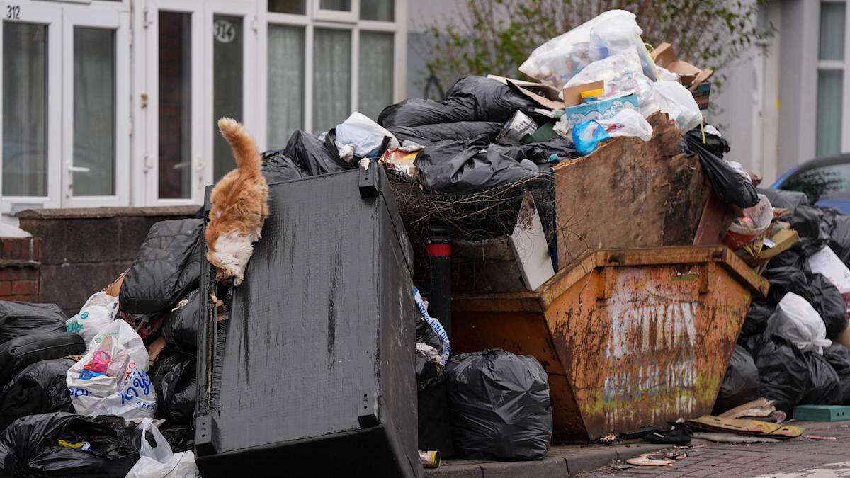 Rats known as ‘Squeaky Blinders’ not welcome beyond Birmingham border, says MP