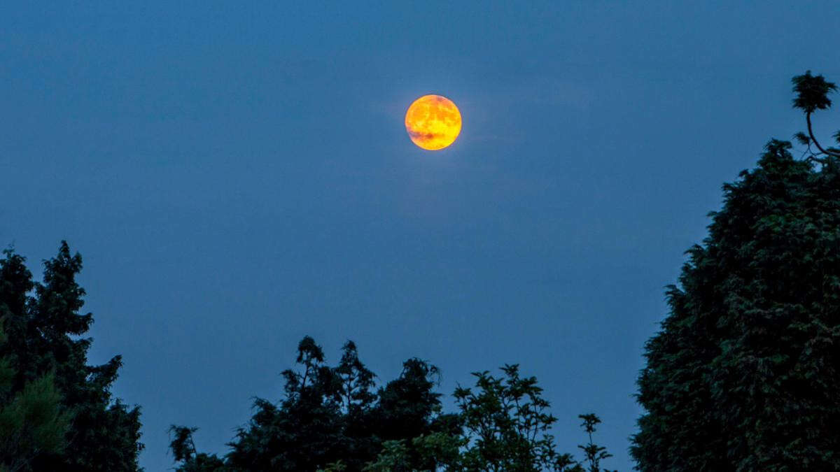 UK set for ‘blood moon’ partial lunar eclipse later this week