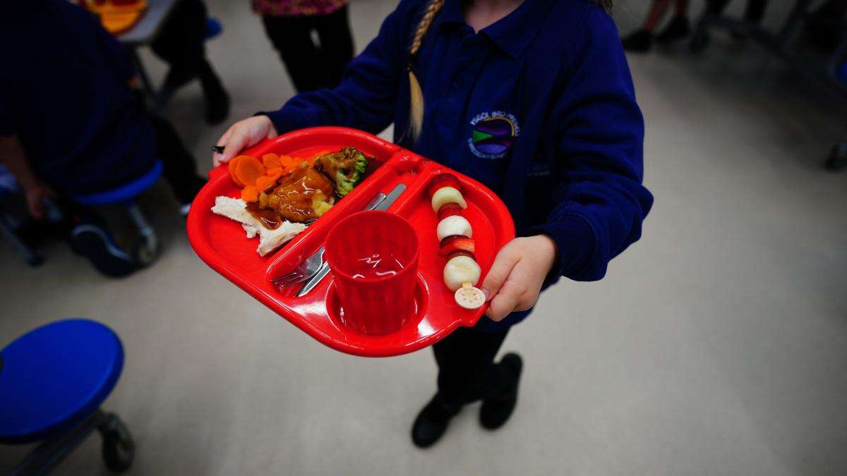 All primary pupils should receive free school lunches, say health experts