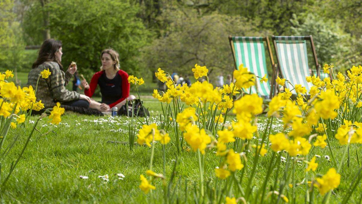 Dry, sunny conditions for most of UK this weekend to mark start of spring