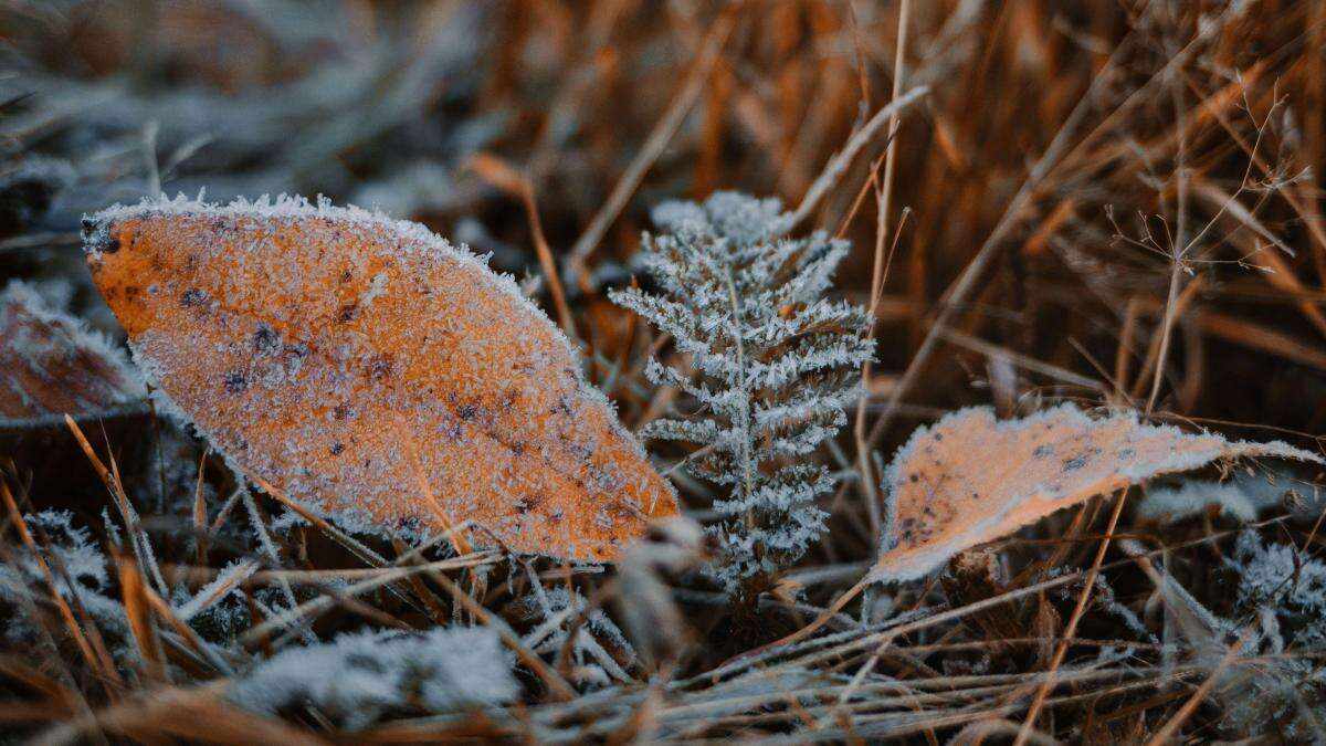 Low of -2.7C recorded overnight but weekend is warmer, Met Office says