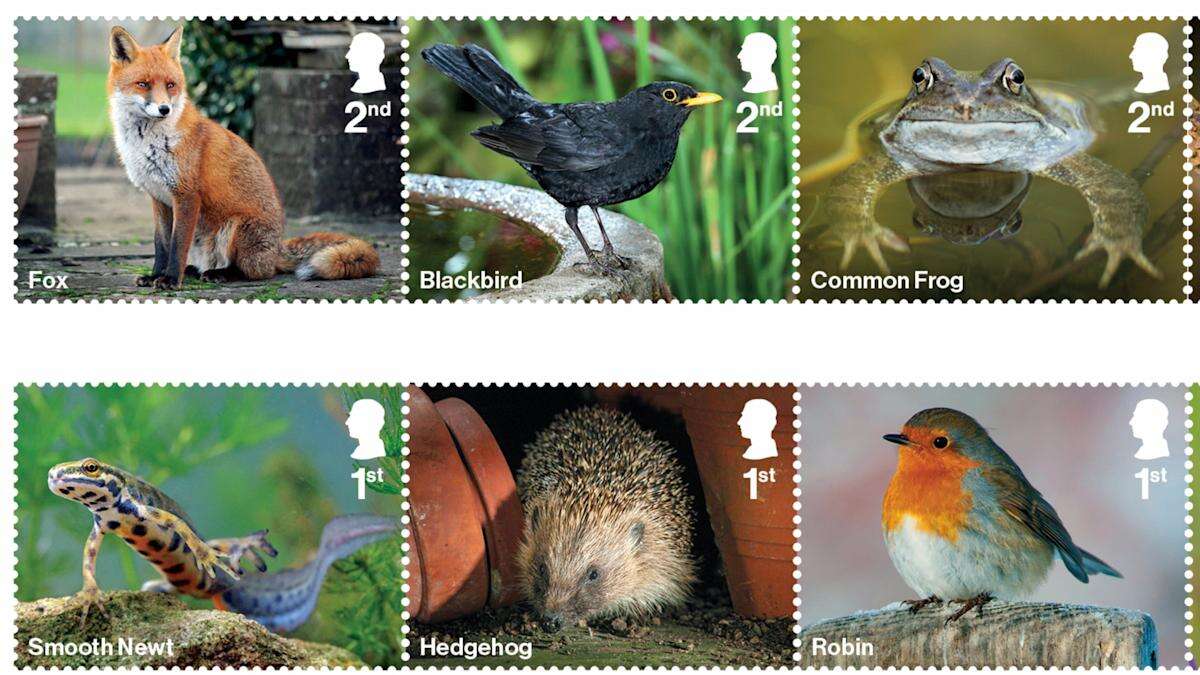 Stamps celebrating diversity of wildlife in UK gardens launched