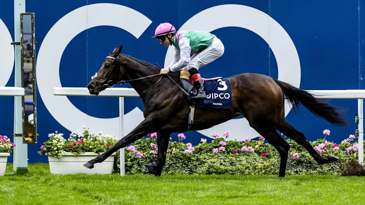 Champions Day victor Kalpana back for more next season