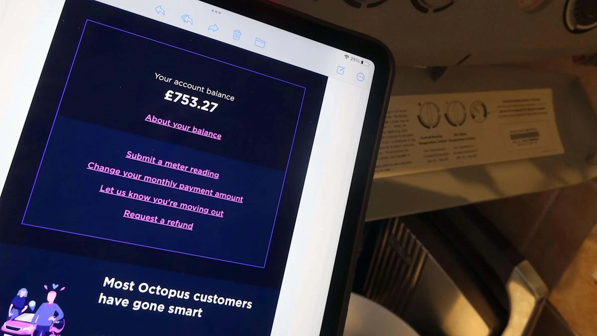 Watchdog partially upholds complaints about ‘misleading’ Octopus Energy ads