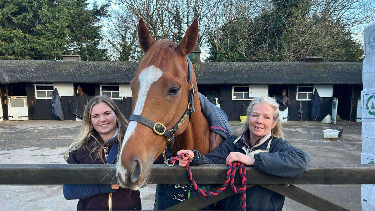 Racehorse given royal approval enjoys socialising with owners down the pub