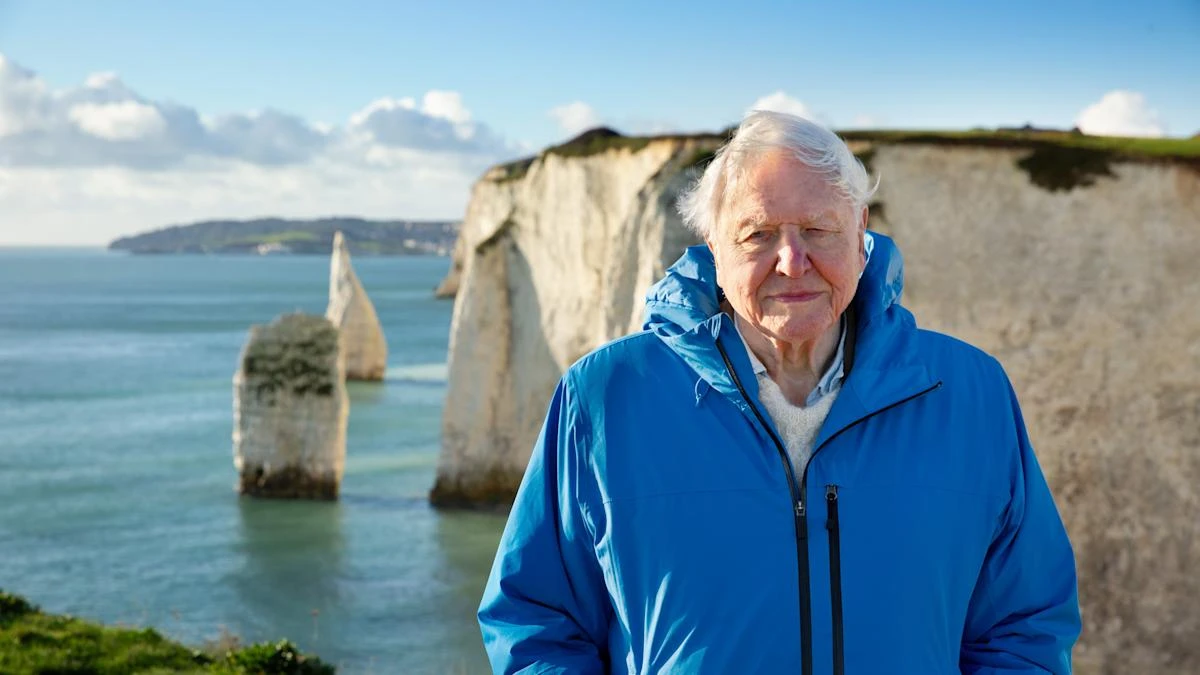 ‘If we save the sea, we save our world’ – Attenborough urges ocean protection